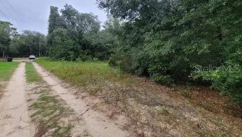 TBD NE 120TH ST, Bronson, FL 32621