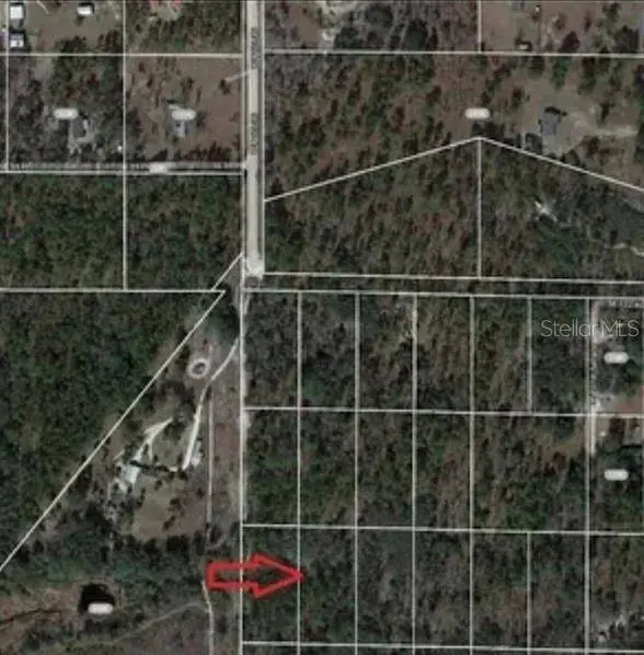 SE 60 ST, Morriston, FL 32668