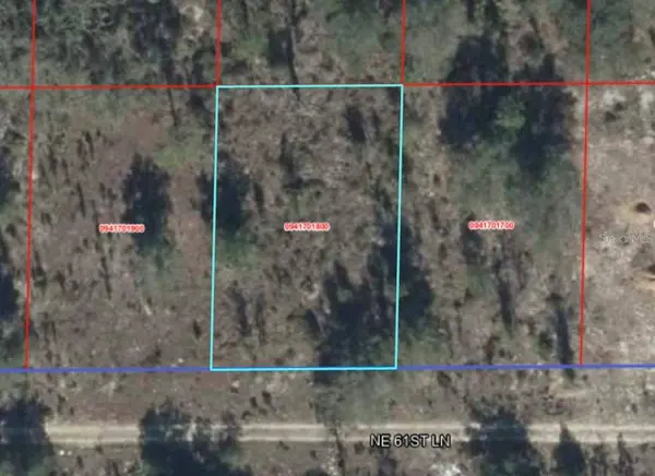NE 61ST LN, Williston, FL 32696