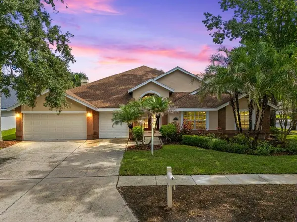 8746 TANTALLON CIR, Tampa, FL 33647