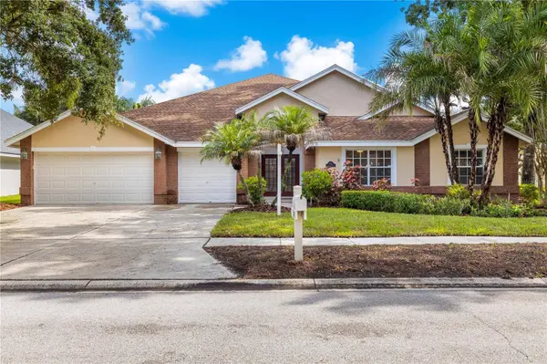 8746 TANTALLON CIR, Tampa, FL 33647