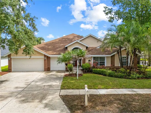 8746 TANTALLON CIR, Tampa, FL 33647