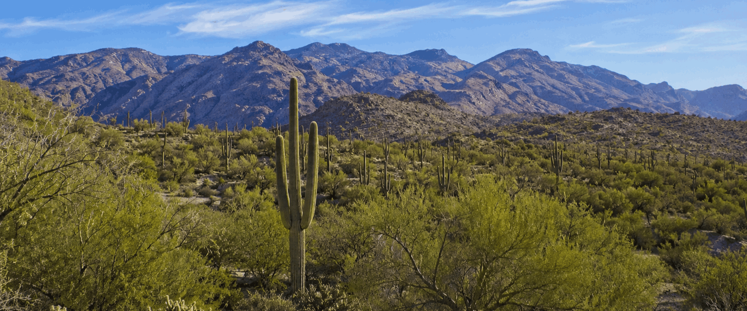 Tanque Verde, Arizona