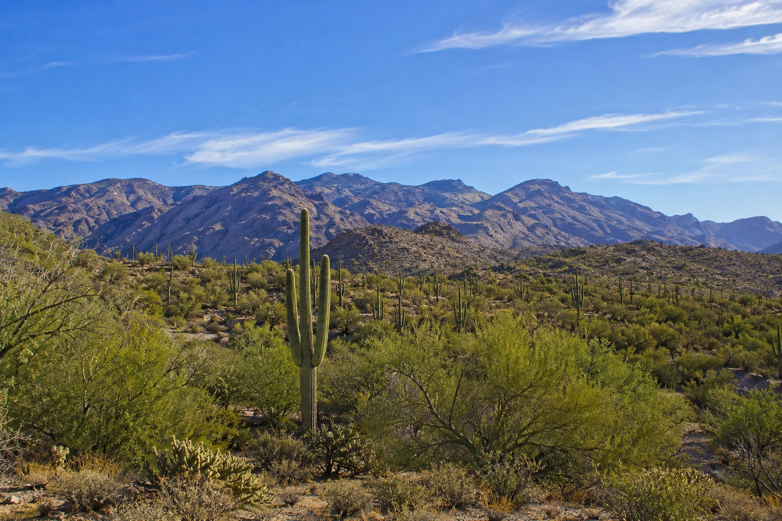 Tanque Verde / East