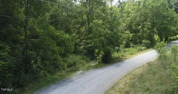 Tbd Pocahontas TRL, Meadowview, VA 24361
