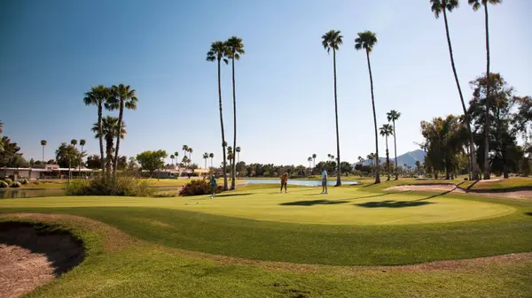 Golfers on a green lined with palm trees at a Phoenix-area golf course