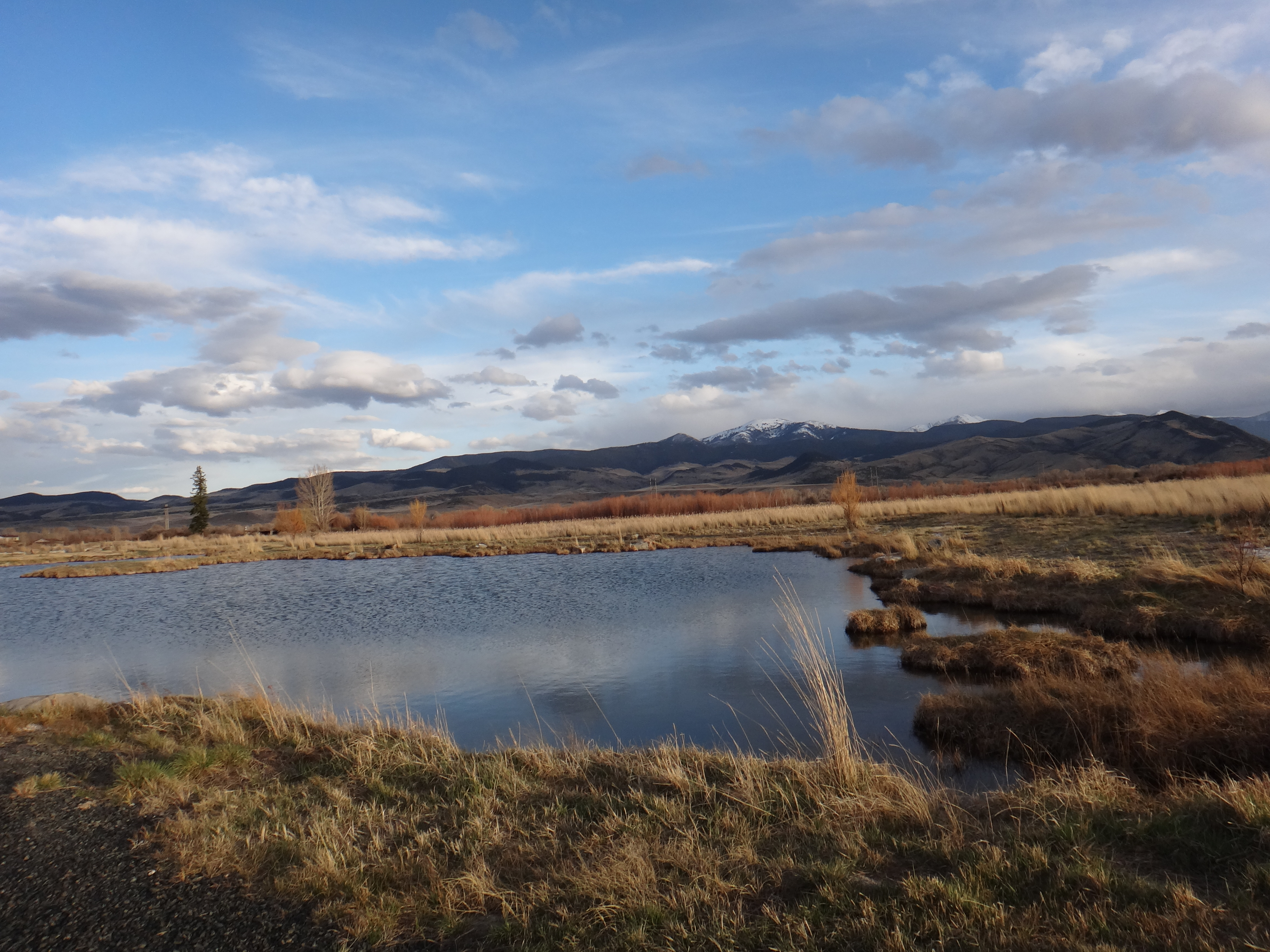 katey-white-montana-group