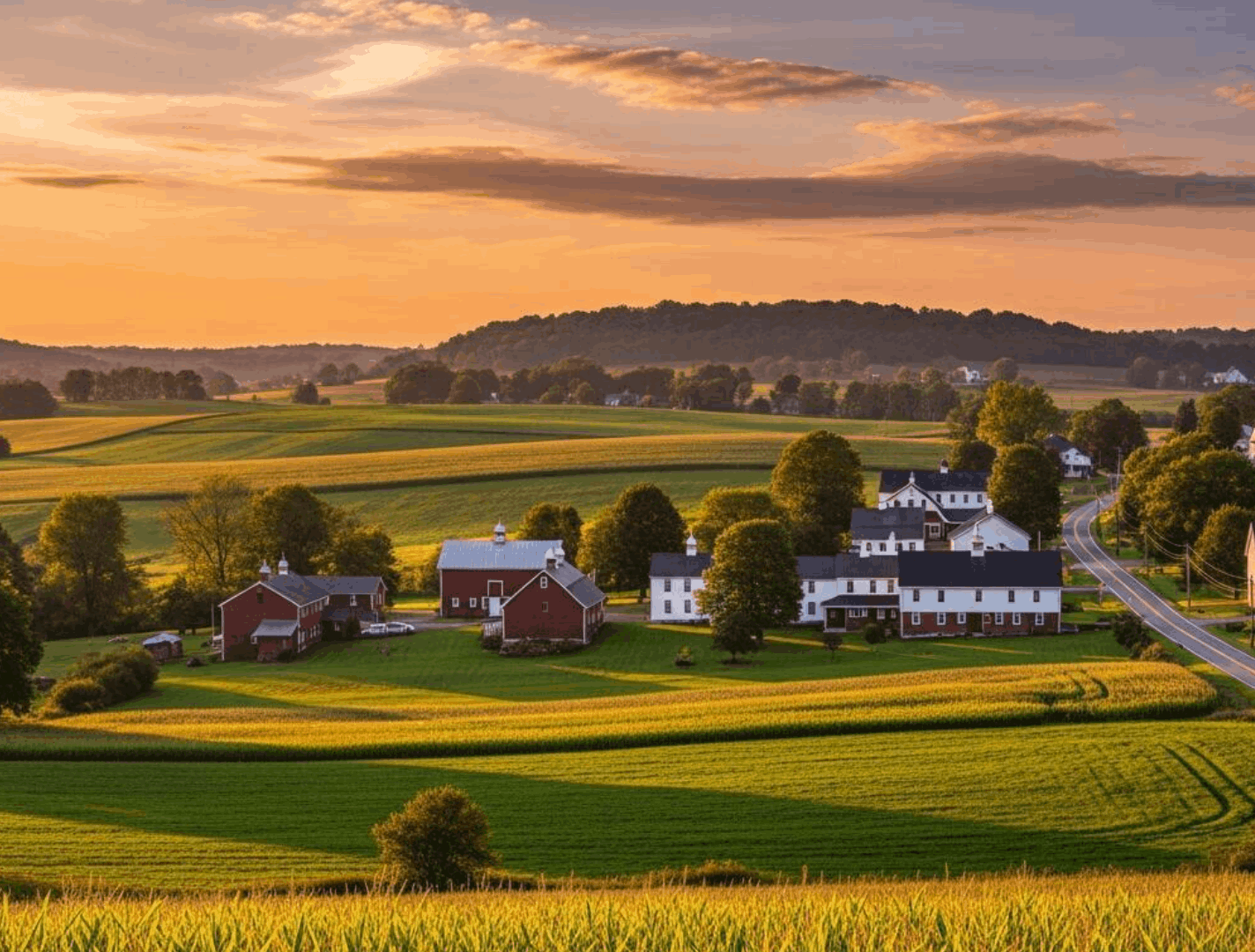 Homes for Sale and Local Real Estate Guide in Leola PA by Lanco Living