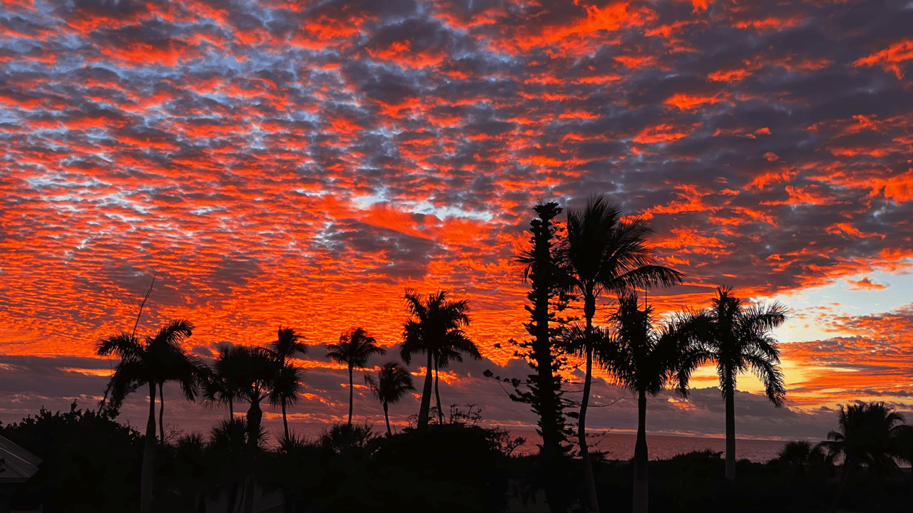 BRIGHTER DAYS TODAY, BRIGHTER DAYS TOMORROW FOR LEE COUNTY REAL ESTATE.,Milissa Sprecher