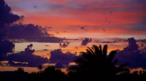 feature image of FLORIDA: AMERICA'S "HOT SPOT" FOR RELOCATION.