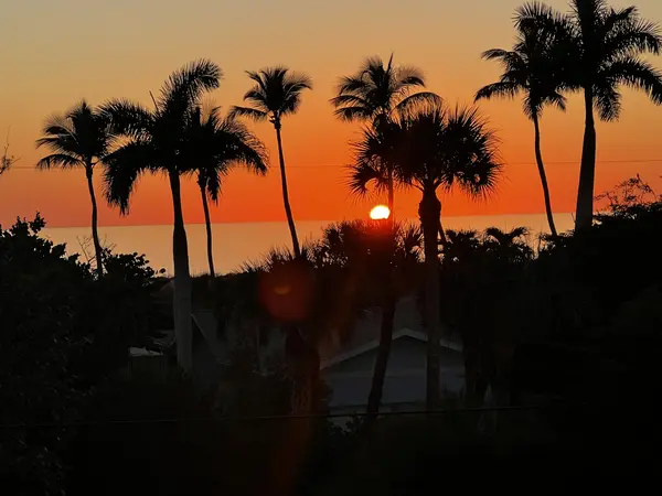 BRIGHTER DAYS TODAY, BRIGHTER DAYS TOMORROW FOR LEE COUNTY REAL ESTATE.,Milissa Sprecher