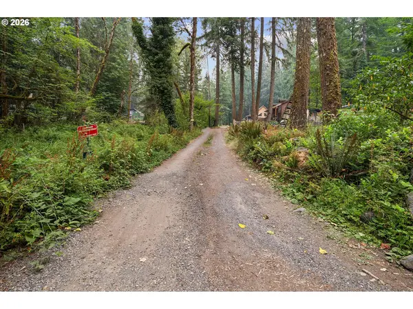 71046 E SALMONBERRY RD, Rhododendron, OR 97049