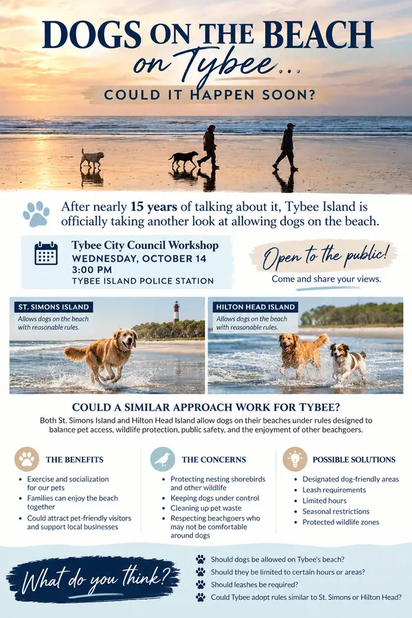 feature image of Dogs on Tybee Beach? It Could Actually Happen!