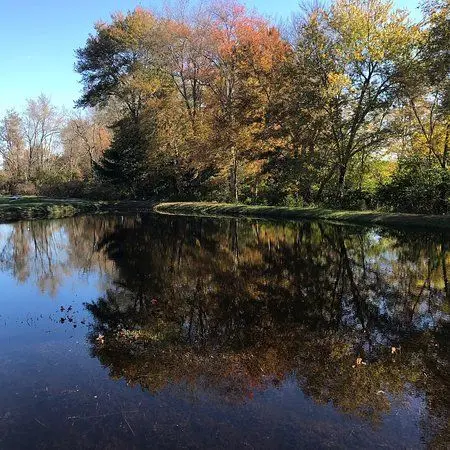 Acushnet