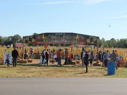 Corn Maze & Pumpkin Patch at Bowles Farms - St. Mary's, Maryland