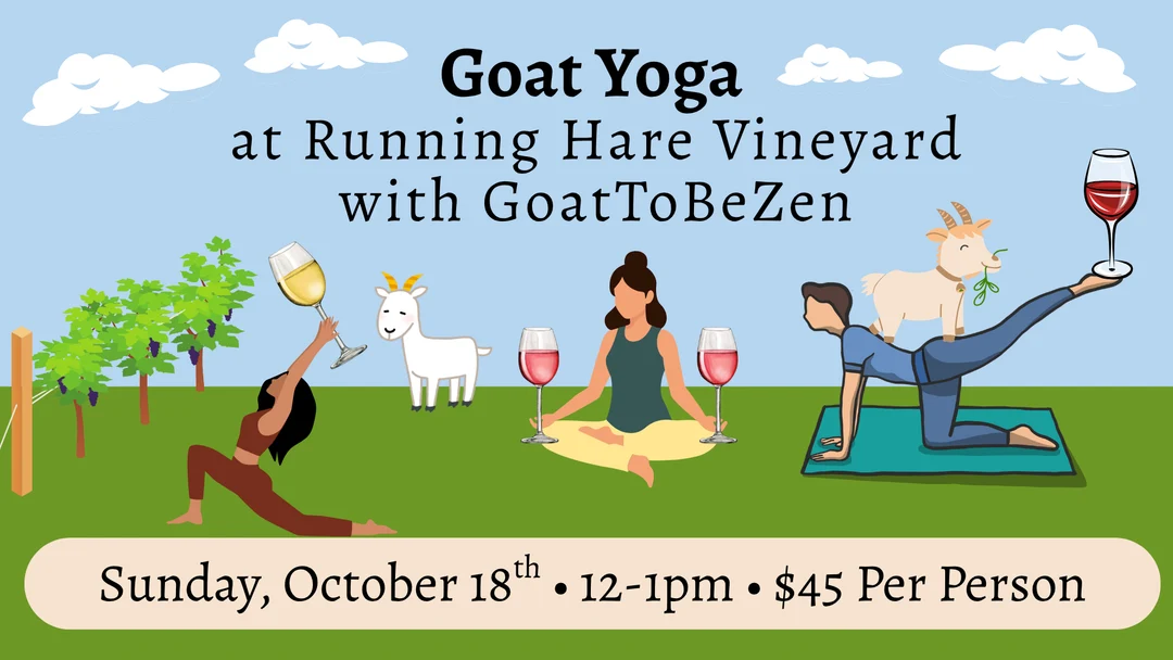 Goat Yoga at the Vineyard