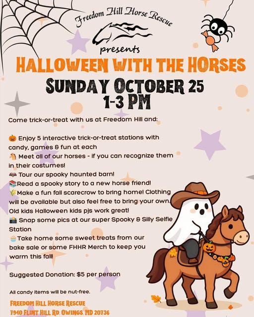 Halloween with the horses