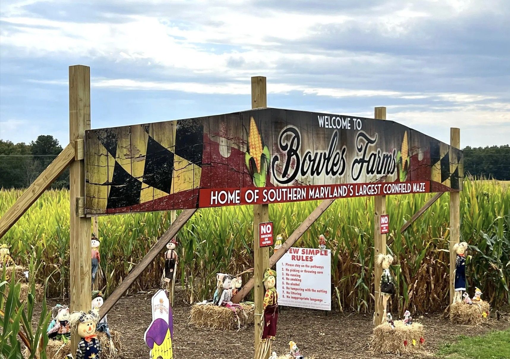 Corn Maze & Pumpkin Patch at Bowles Farms