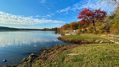 Pond shoreline with autumn trees near Indian Head MD