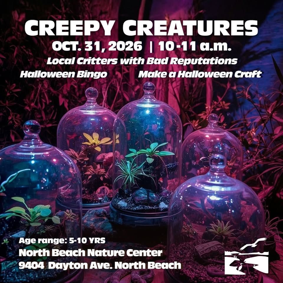 Creepy Creatures at North Beach Nature Center 