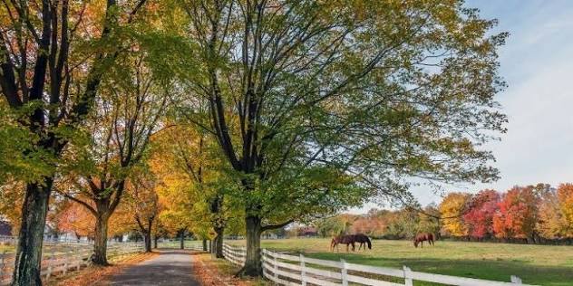Parks in Hollywood MD