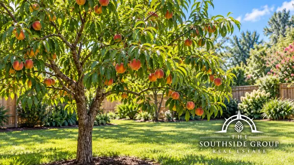 feature image of What Fruit Trees Grow in Maryland? A Southern Maryland Homeowner’s Guide