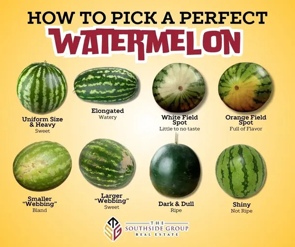 feature image of How to Pick a Perfect Watermelon: Your Ultimate Guide