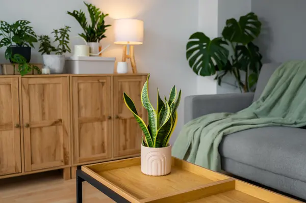 feature image of 5 Simple Habits for a Happier, Healthier Home