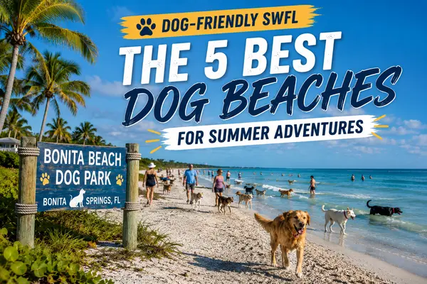 The Best Dog Beaches in Southwest Florida: Where Your Pup Can Make a Splash This Summer