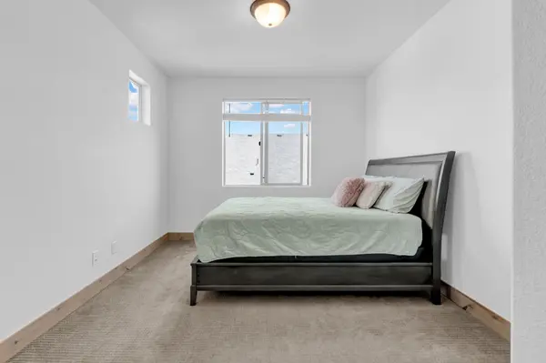 1699 Corby Dr, Windsor, CO 80550-6083