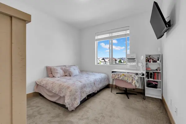 1699 Corby Dr, Windsor, CO 80550-6083
