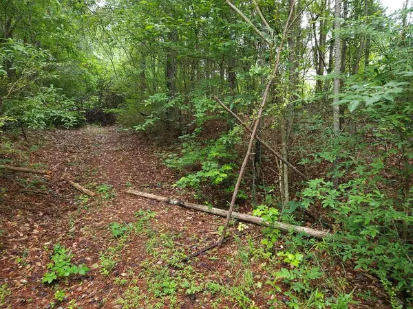 Potash R Polk Street, Cedartown, GA 30125