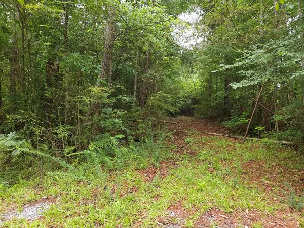 Potash R Polk Street, Cedartown, GA 30125
