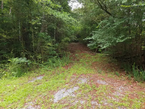 Potash R Polk Street, Cedartown, GA 30125