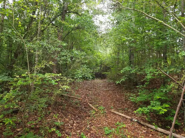 Potash R Polk Street, Cedartown, GA 30125