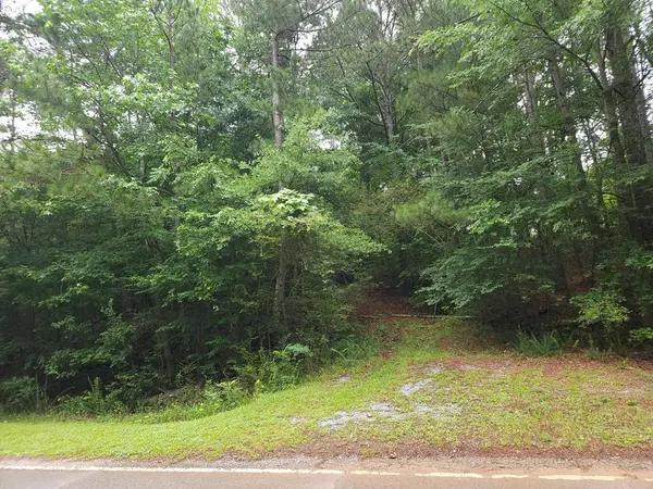 Potash R Polk Street, Cedartown, GA 30125