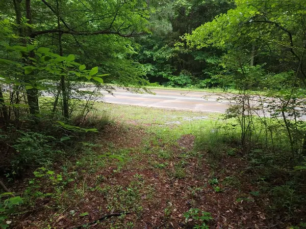 Potash R Polk Street, Cedartown, GA 30125