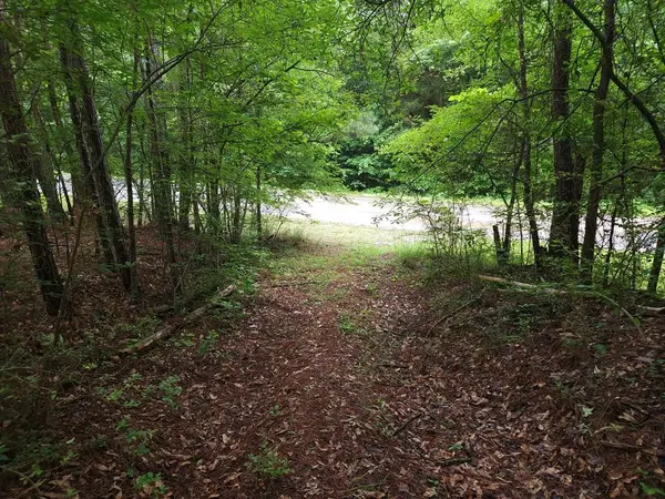 Potash R Polk Street, Cedartown, GA 30125