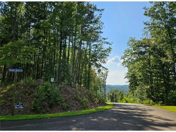 241 Carters View LN, Ellijay, GA 30540
