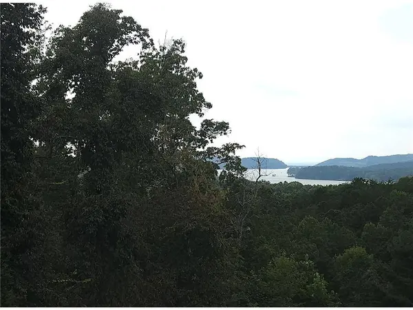 241 Carters View LN, Ellijay, GA 30540