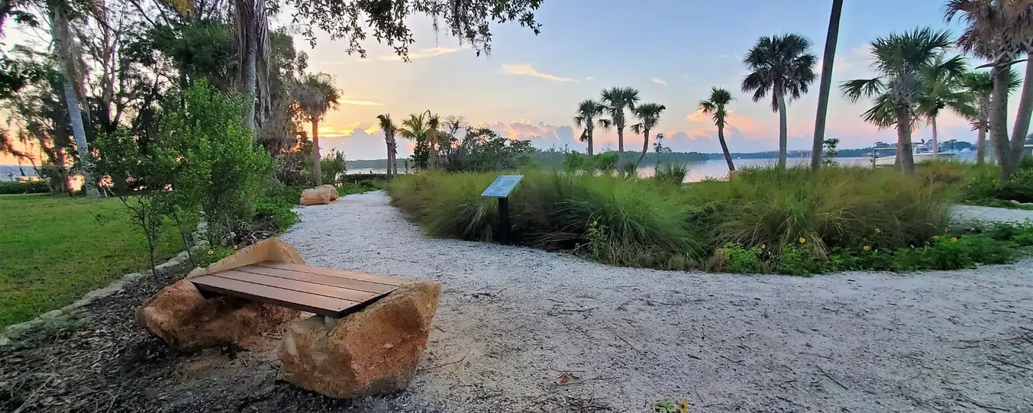 Palm City