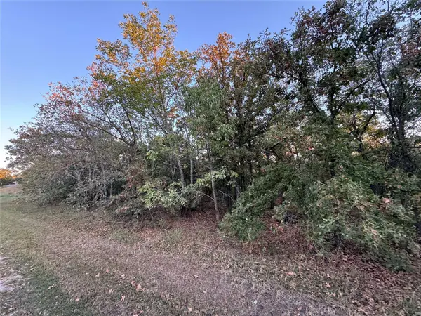 0000 Rodeo DR, Skiatook, OK 74070