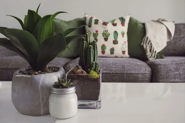 2025 Home Trends: The Future of Living Reflects Values, Sustainability, and Comfort,Lauren Roman