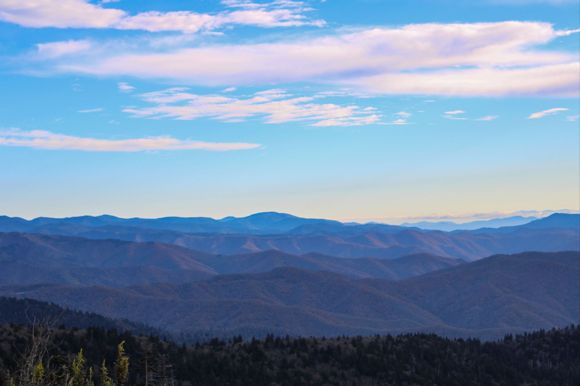 blog banner