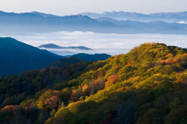 east tn
