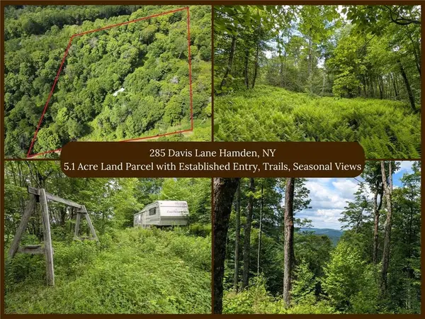 285 Davis LN, Hamden, NY 13782