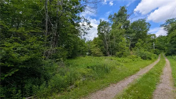 285 Davis LN, Hamden, NY 13782