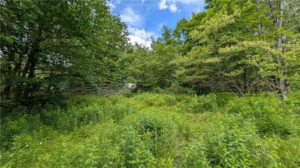 285 Davis LN, Hamden, NY 13782