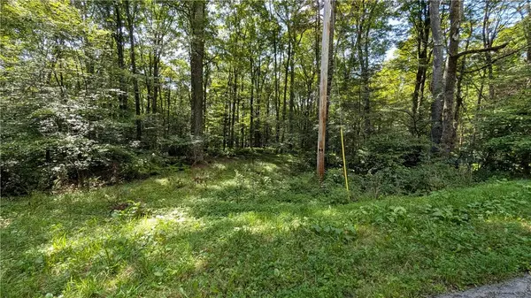 1245 Quaker Hill RD, Jefferson, NY 12093
