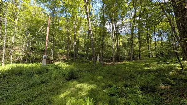 1245 Quaker Hill RD, Jefferson, NY 12093